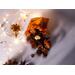 Pumpkin Spice potpourri spilling from an orange sachet with pine cones, nuts, and festive lights on a soft gray background.